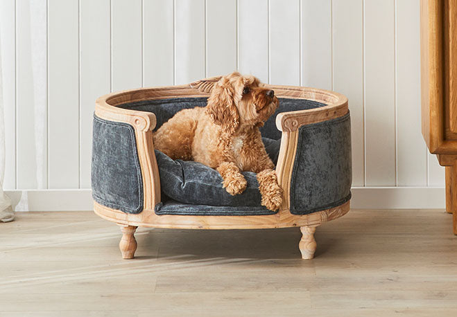 Pet Beds