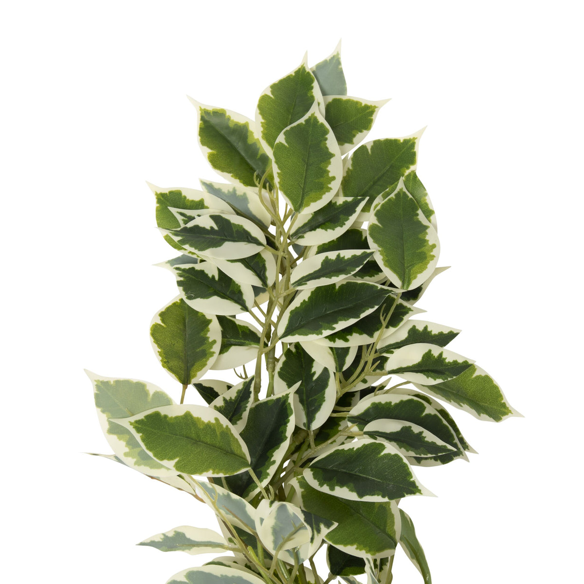 Bloomery Ficus Garland 117cm