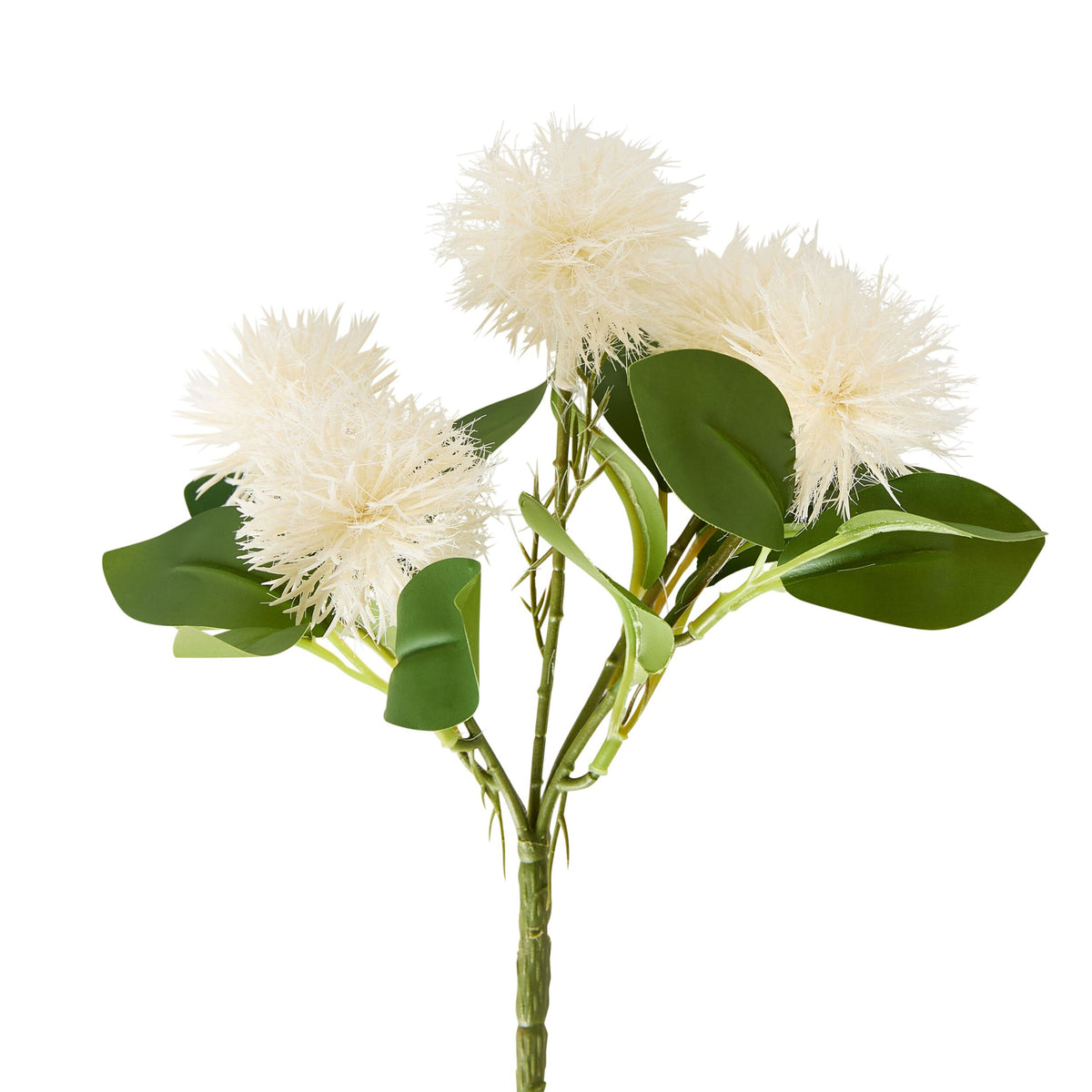 Bloomery Melaleuca Stem 25cm