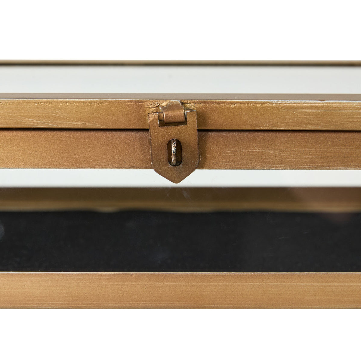 Darwin Jewellery Box
