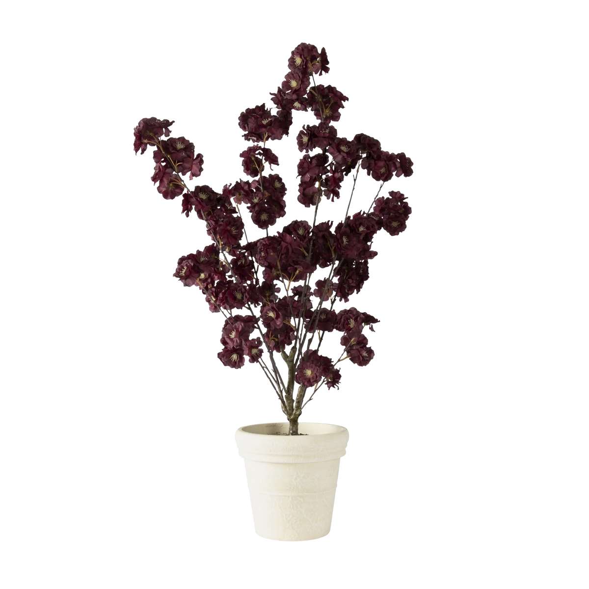 Folia Cherry Blossom in Paper Mache Pot