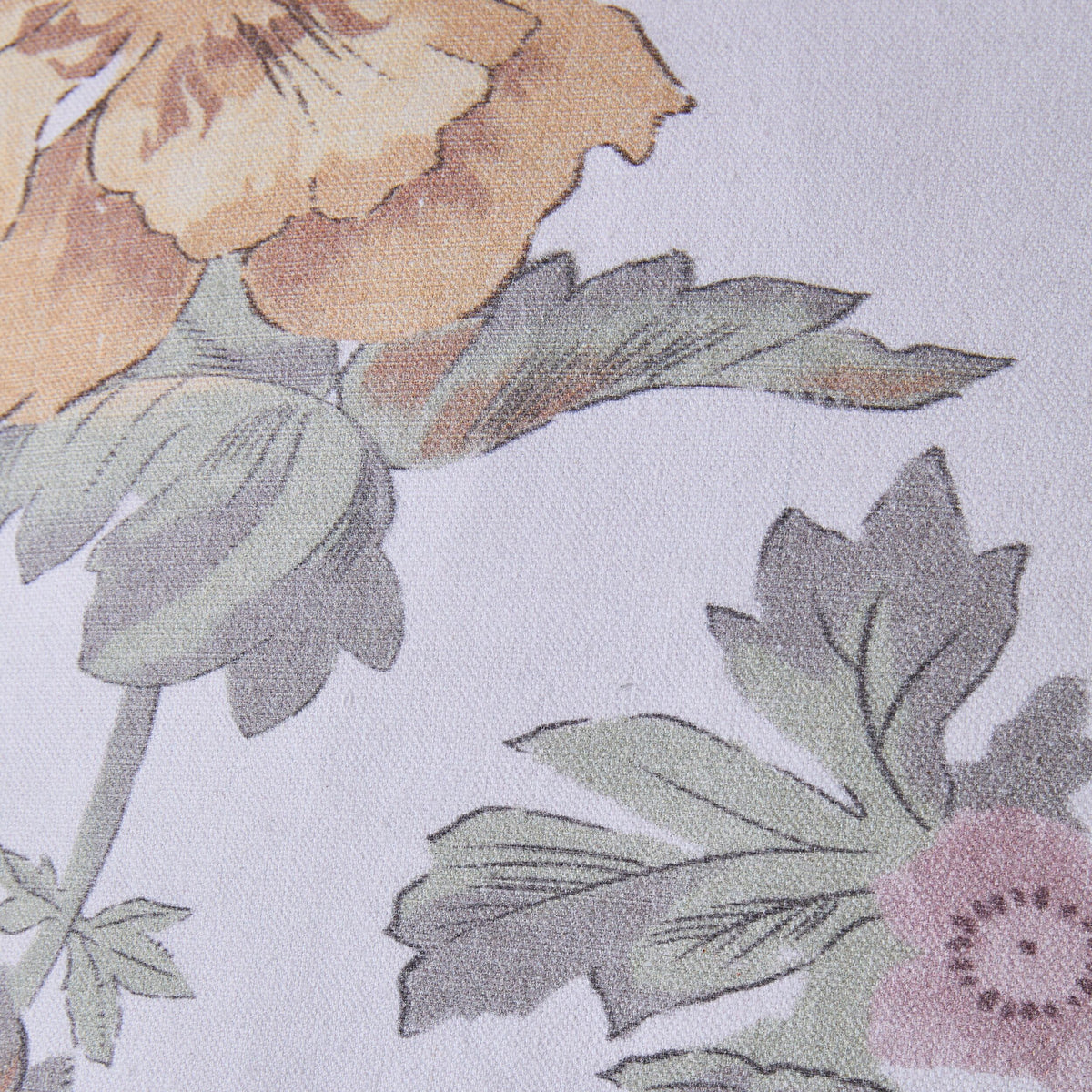 Botanica Rosamund Cushion 45x45cm