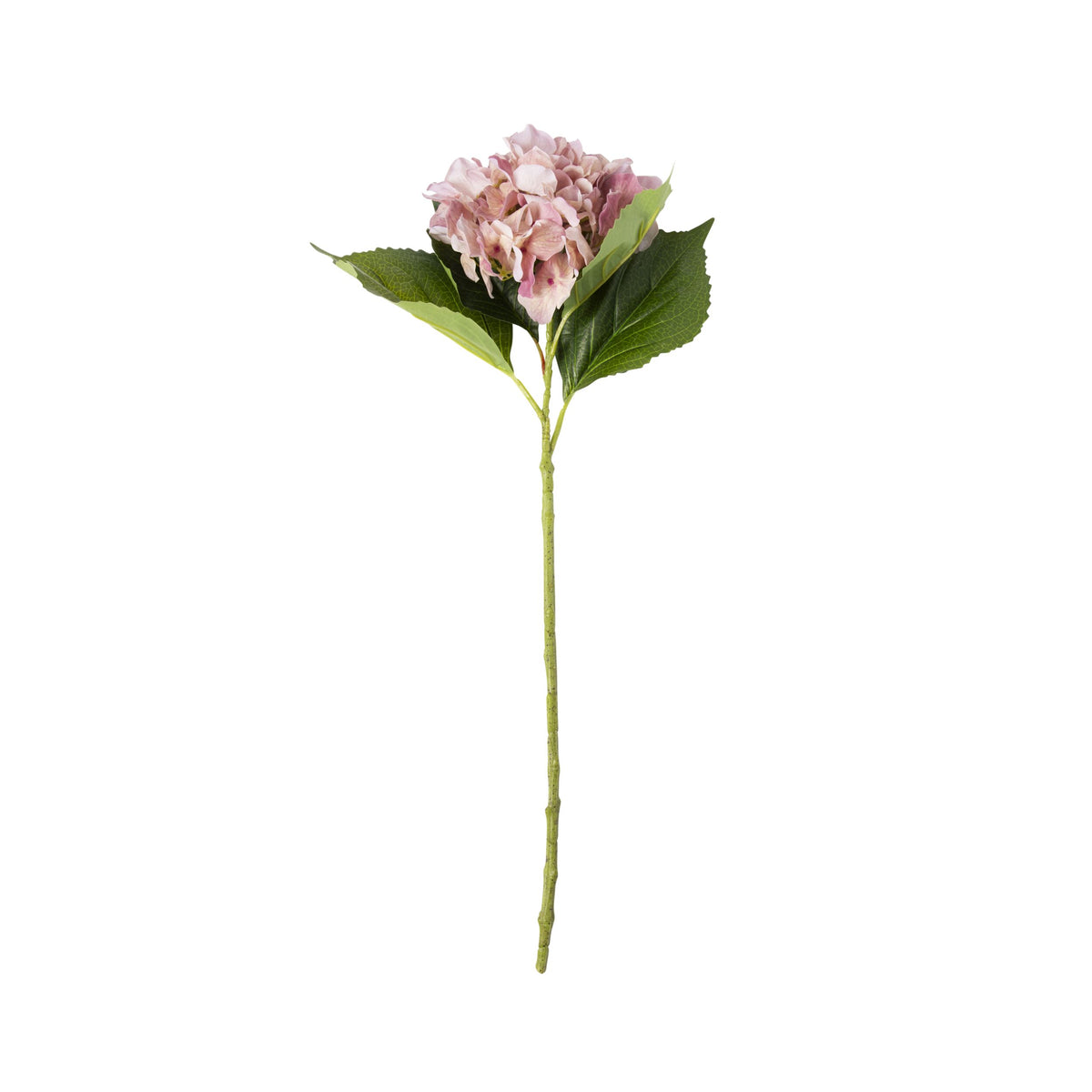 Bloomery Hydrangea Stem Rose Pink 61cm