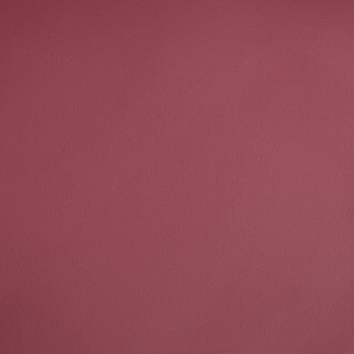 Arc Occasional Chair Dusty Rose