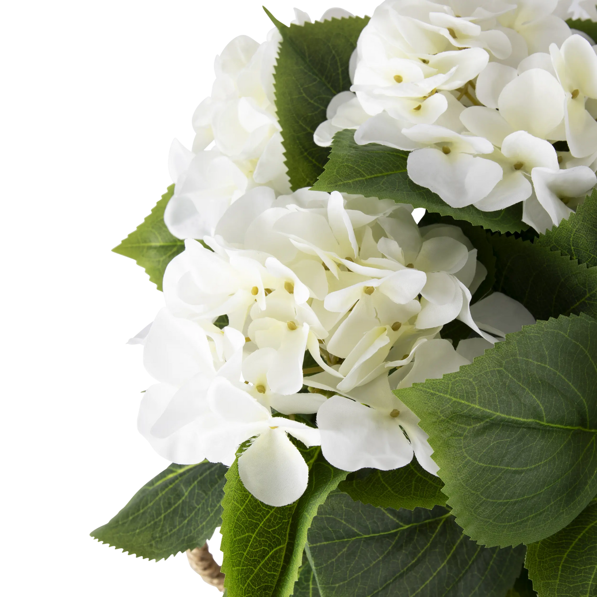 Folia Hydrangea Arrangement in Rattan Vase