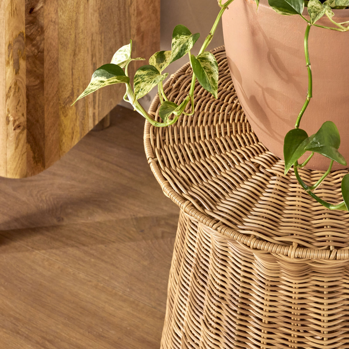 lifestyle_insitu: