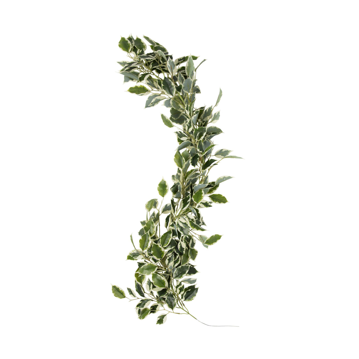 Bloomery Ficus Garland 117cm