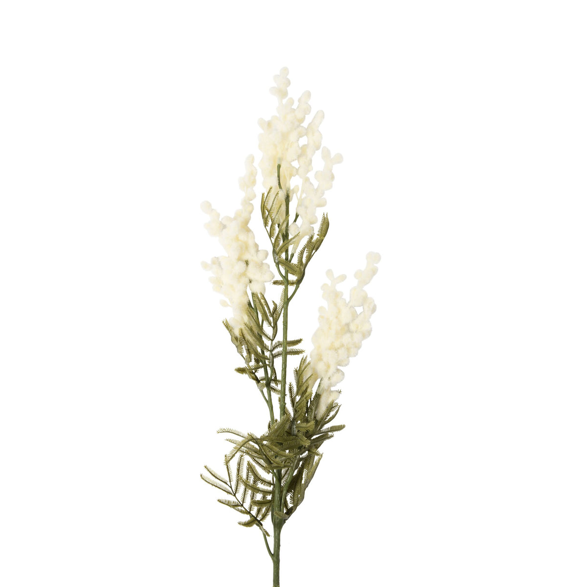 Bloomery Sweet Acacia Stem Cream 49cm