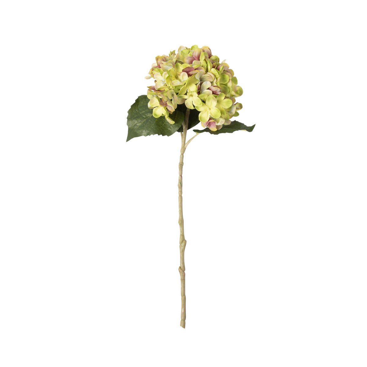 Bloomery Hydrangea Stem Green 46cm