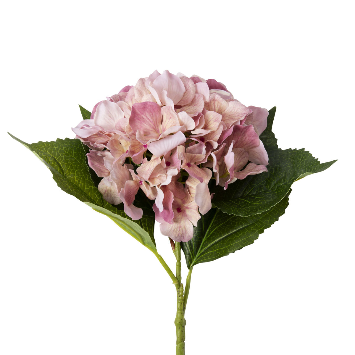 Bloomery Hydrangea Stem Rose Pink 61cm