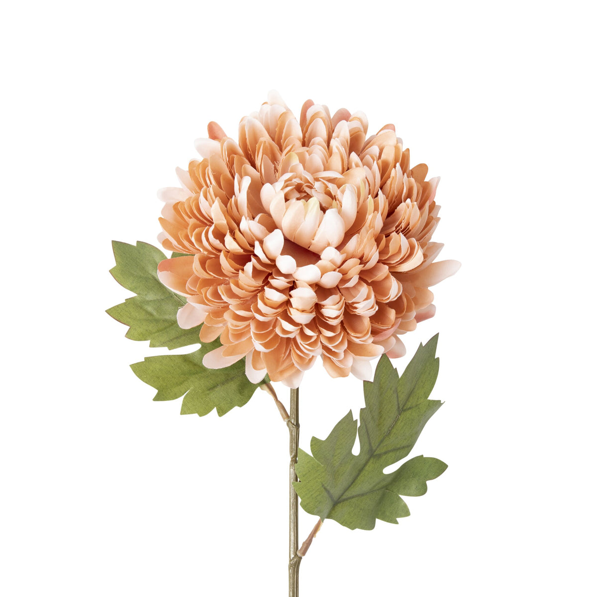 Bloomery Chrysanthemum Stem Peach 61cm