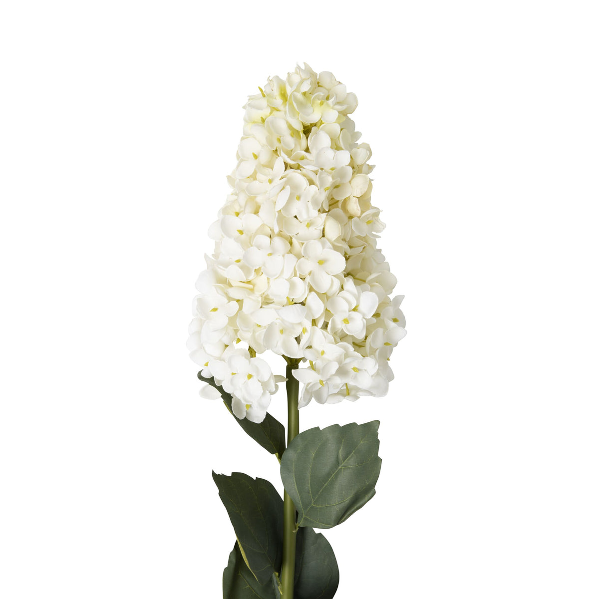Bloomery Hydrangea Stem Cream 95cm