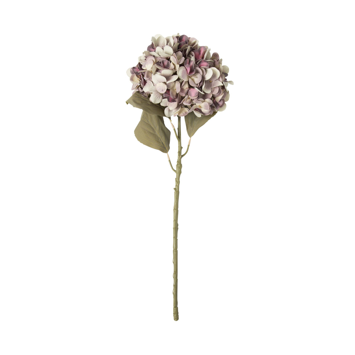 Bloomery Hydrangea Stem Mauve 56cm