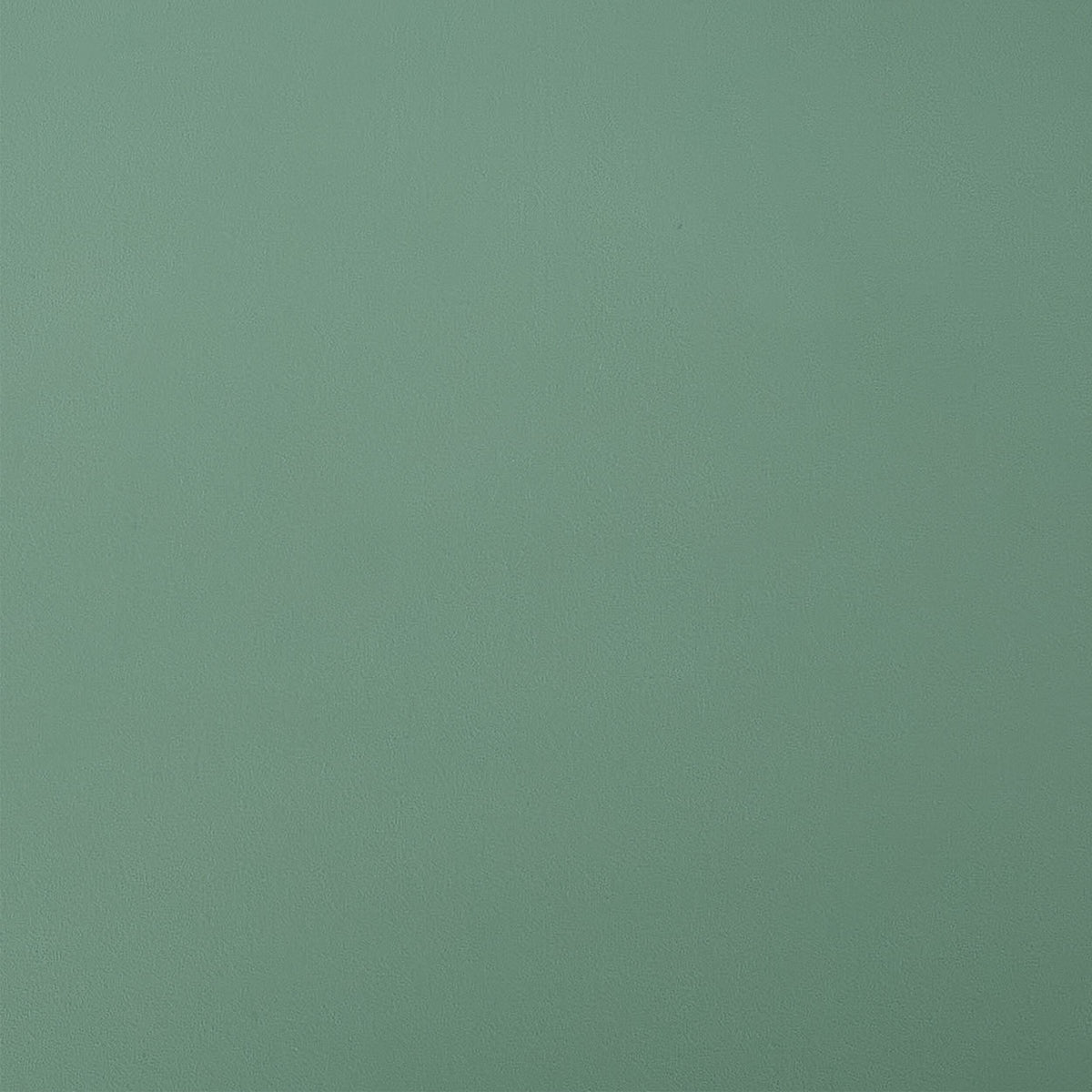 Arc Dining Chair Basil Green