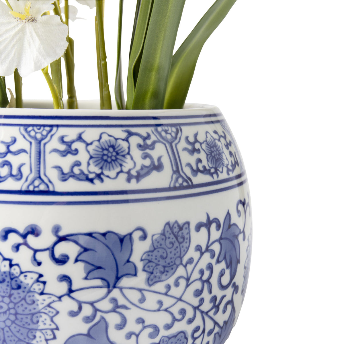 Folia Orchid in Ceramic Pot