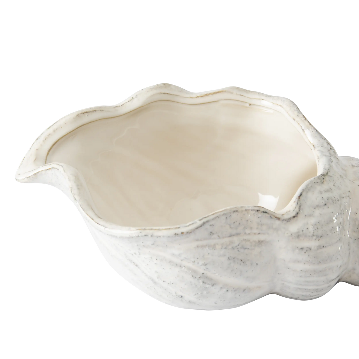 Costiera Periwinkle Seashell Vessel