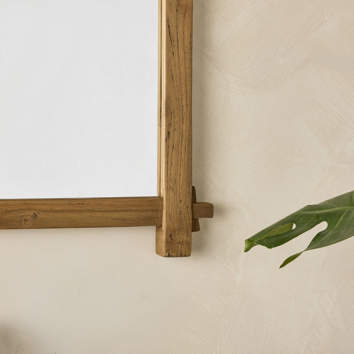 lifestyle_insitu: