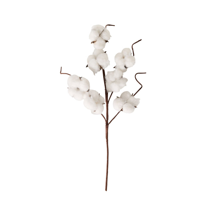 Bloomery Cotton Stem 43cm