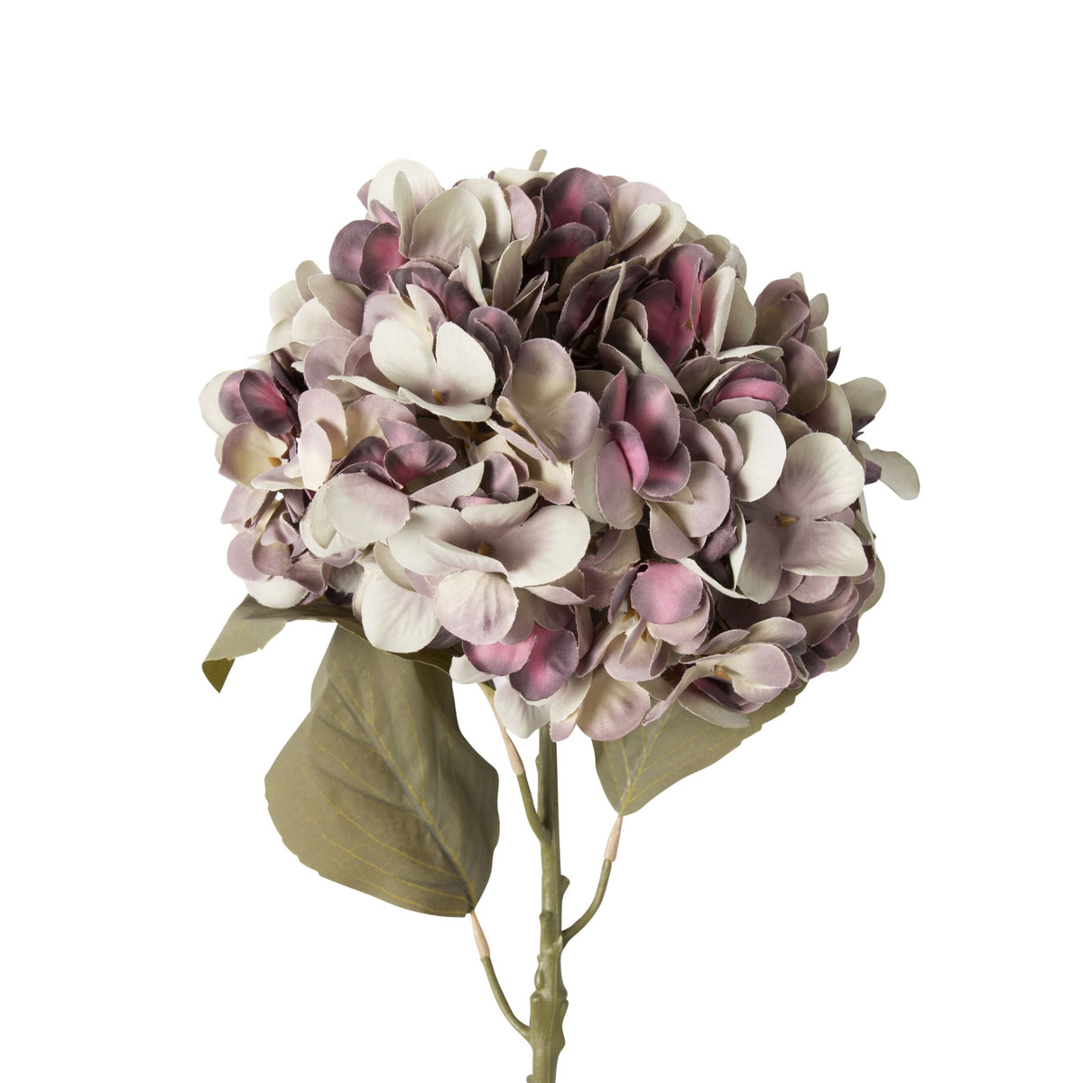 Bloomery Hydrangea Stem Mauve 56cm