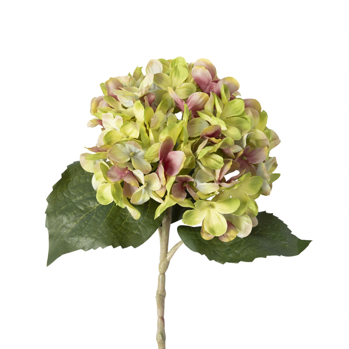 Bloomery Hydrangea Stem Green 46cm