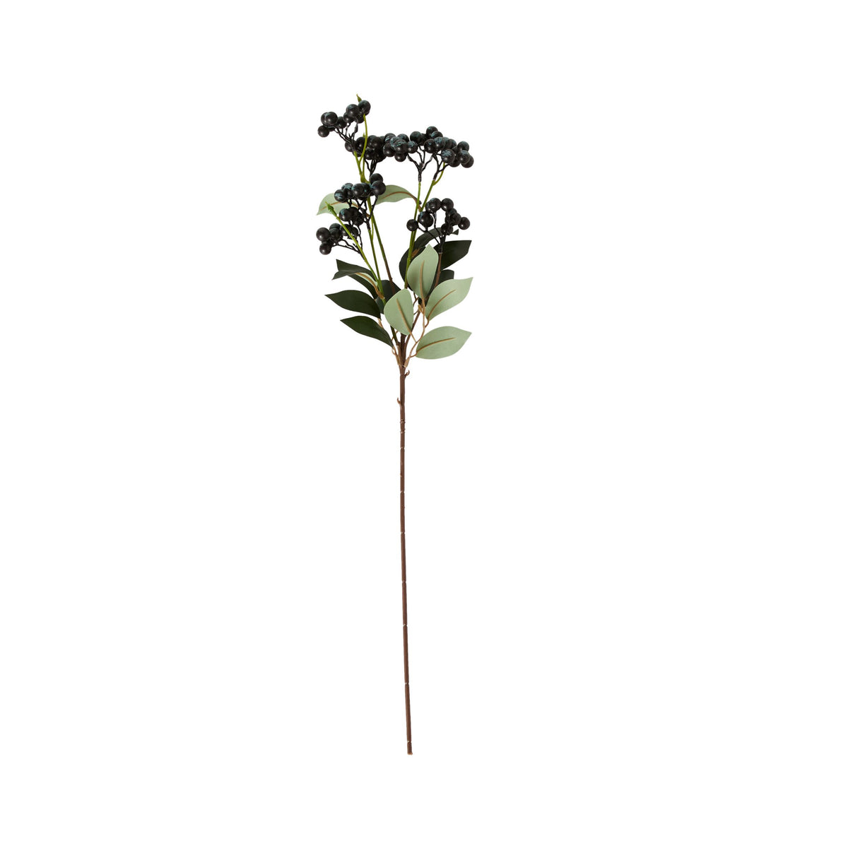 Bloomery Privet Berry Stem 69cm