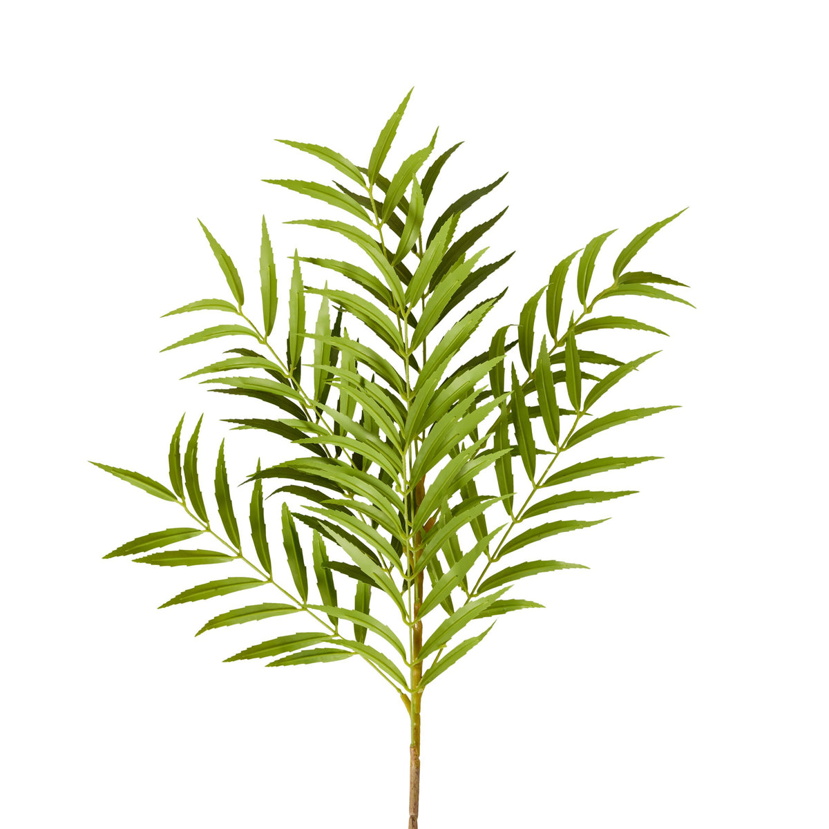 Bloomery Fern Palm Stem 99cm