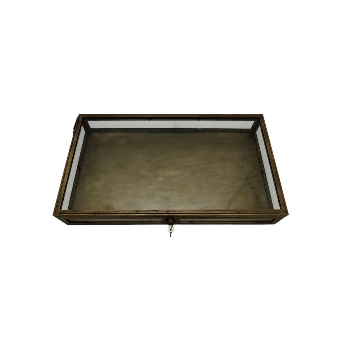 Darwin Display Side Table