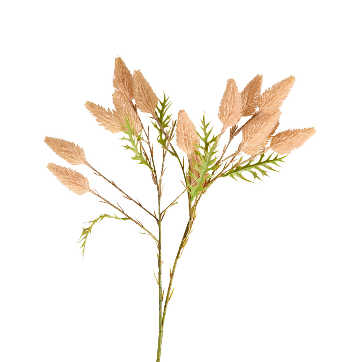 Bloomery Mulla Mulla Stem Pink 71cm