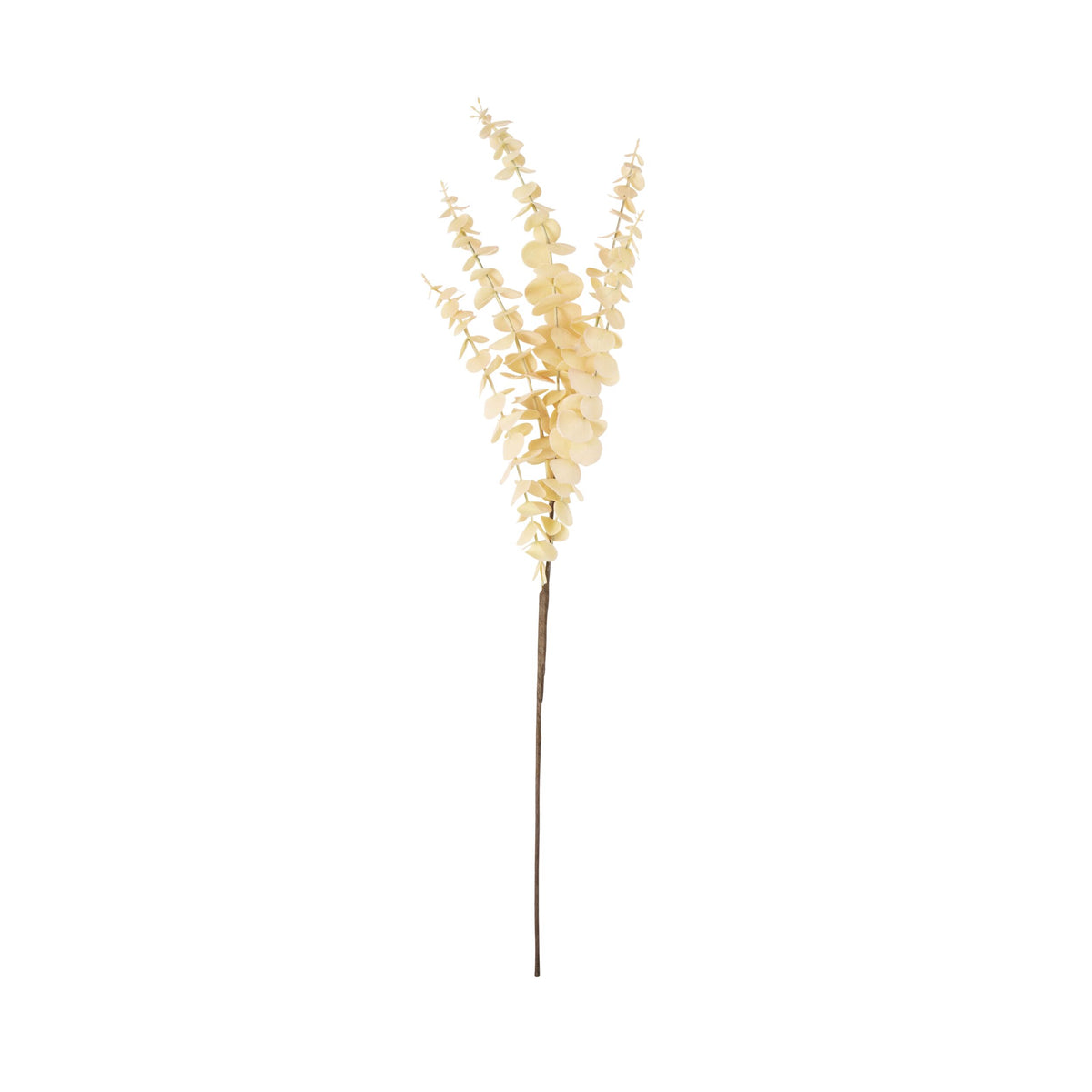 Bloomery Eucalyptus Stem Cream 76cm